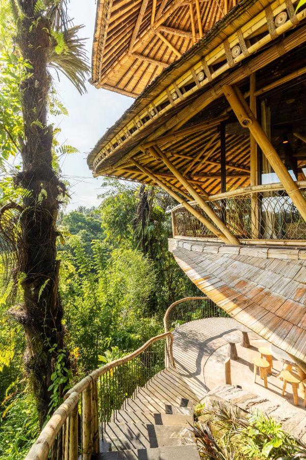 Eclipse House 4Bds Eco Bamboo House Pool Riverview Bringkit 외부 사진