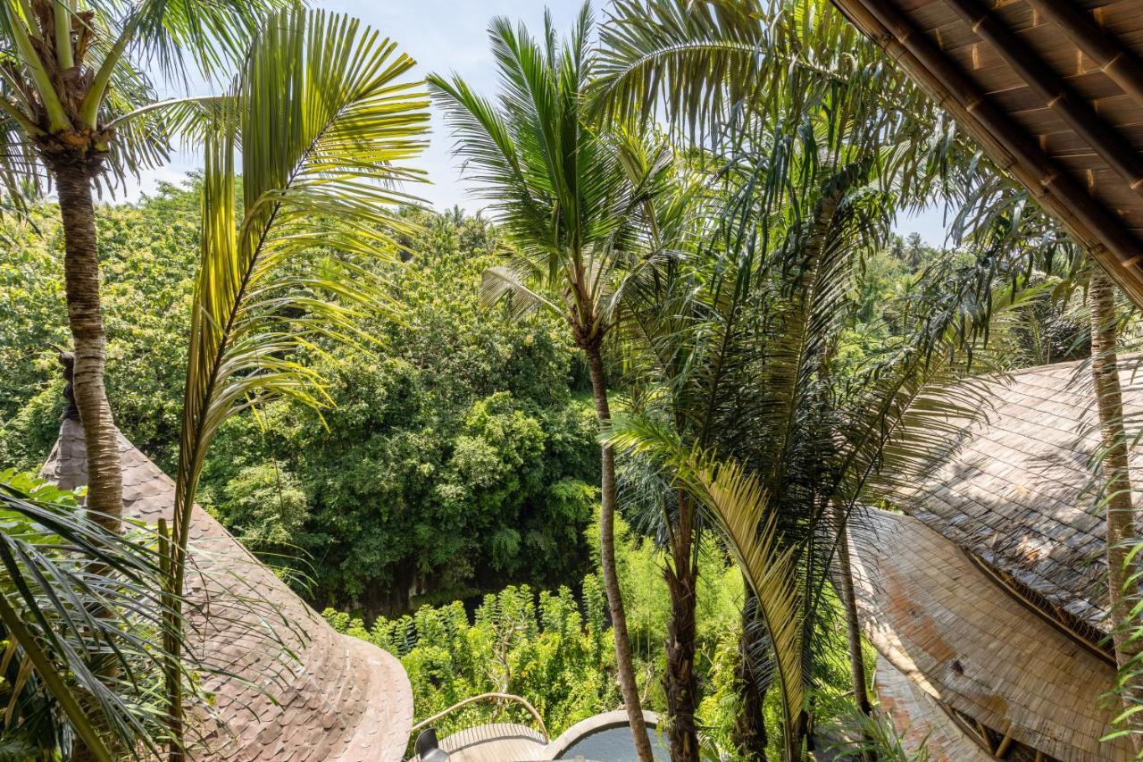 Eclipse House 4Bds Eco Bamboo House Pool Riverview Bringkit 외부 사진