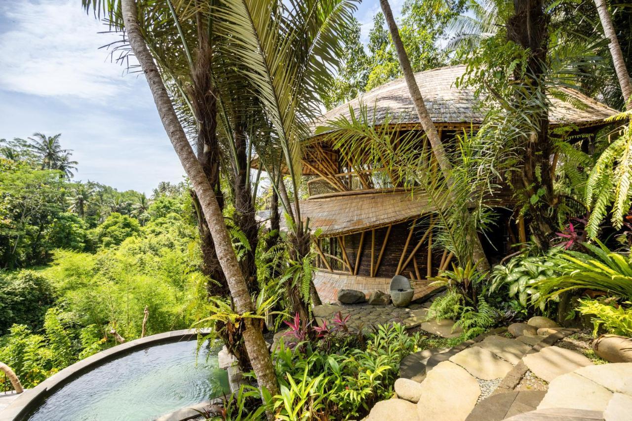 Eclipse House 4Bds Eco Bamboo House Pool Riverview Bringkit 외부 사진